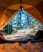 plan-a-camping-trip-5-things-to-do